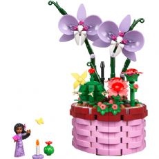 Isabela's flower pot