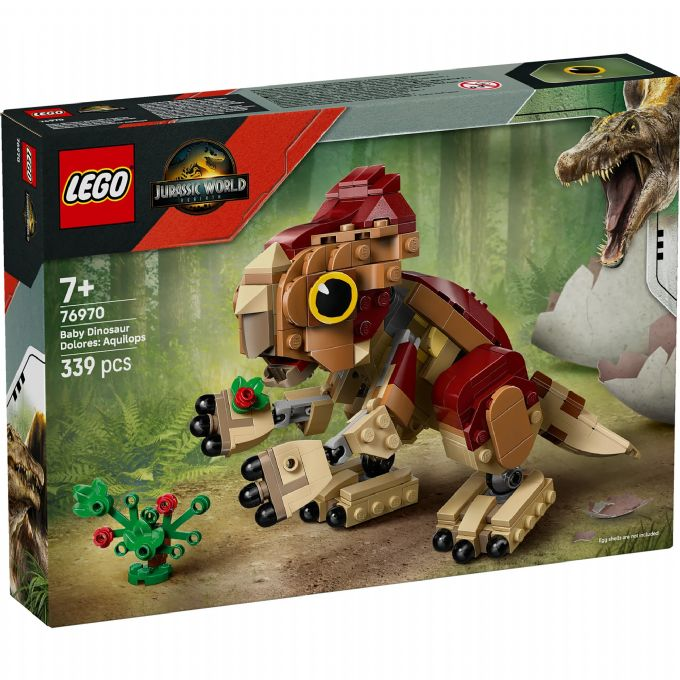 Baby Dolores: Aquilops-dinosaur version 2