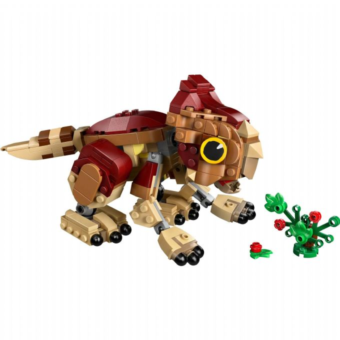 Baby Dolores: Aquilops-dinosaur version 1