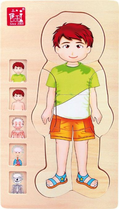 Trpussel anatomi pojke version 1
