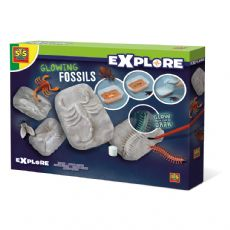 SES Excavation - Lysande fossiler