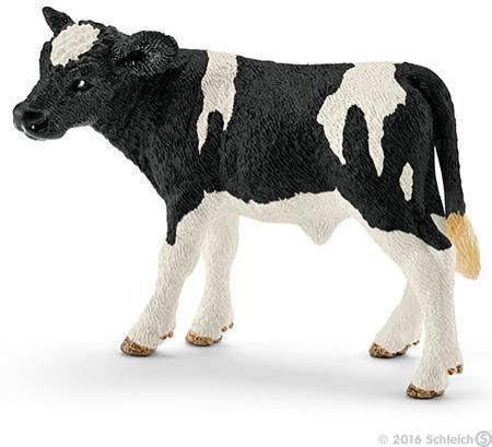Holstein-kalv