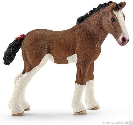 Clydesdale foal version 1