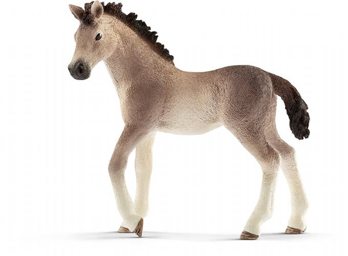 Andalusian foal version 1