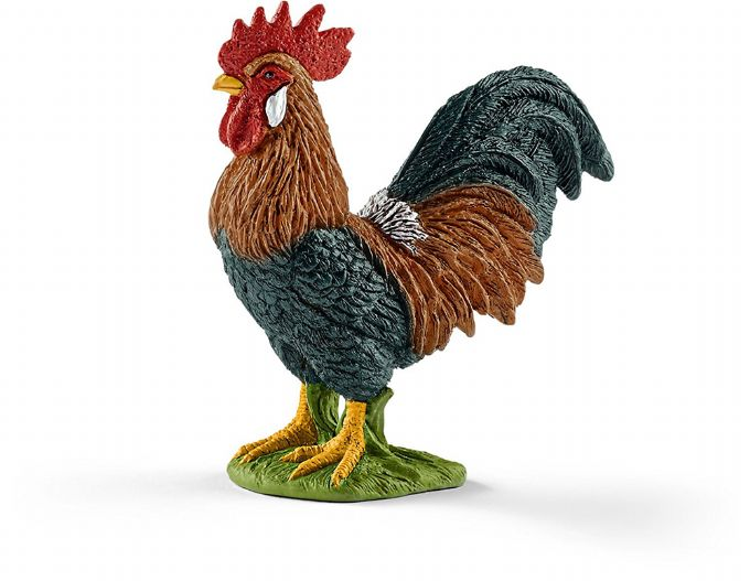 Rooster version 1