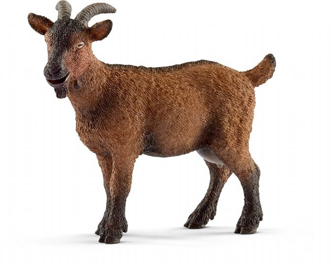 Goat version 1