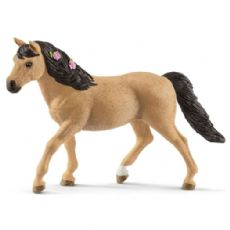 Connemara Pony springen