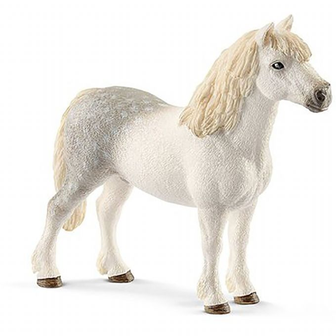 Welsh pony stallion version 1