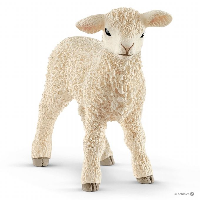 Lamb version 1