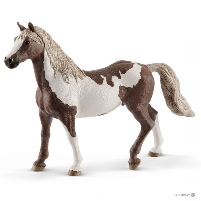 Paint Horse, vallak version 1