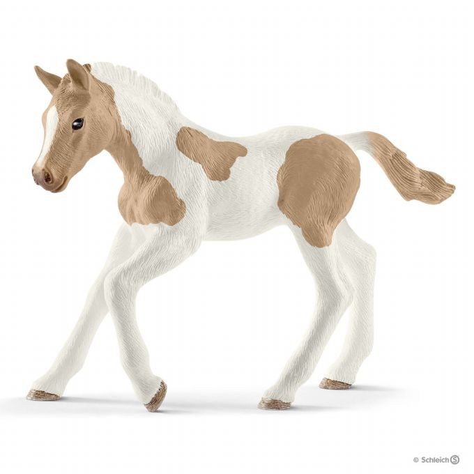 Paint Horse, colt version 1