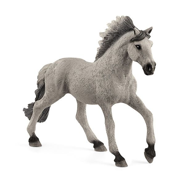 Sorraia Mustang Stallion version 1