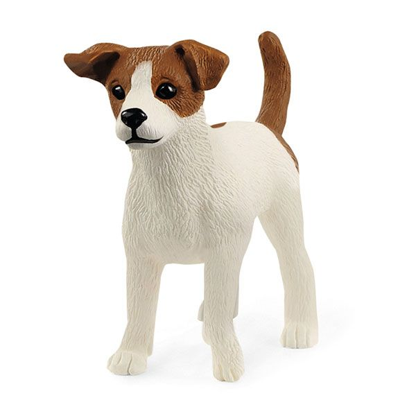 Jack Russell Terrier version 1