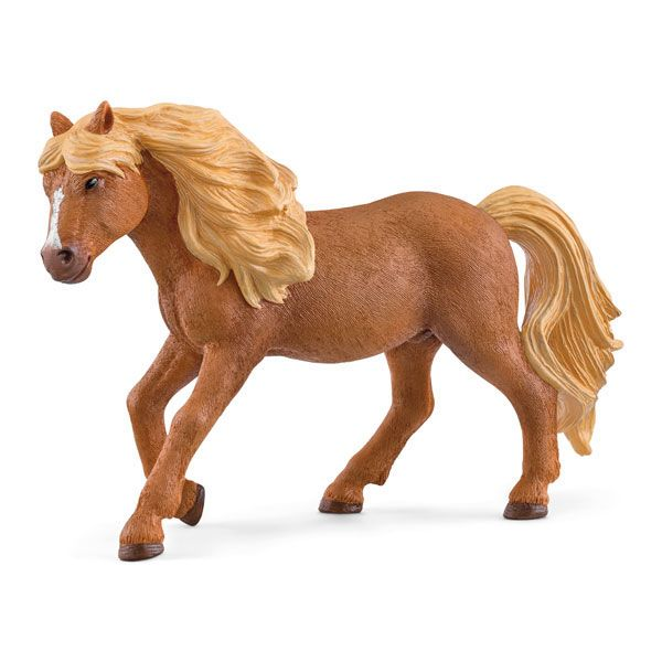 Icelandic Pony Stallion version 1