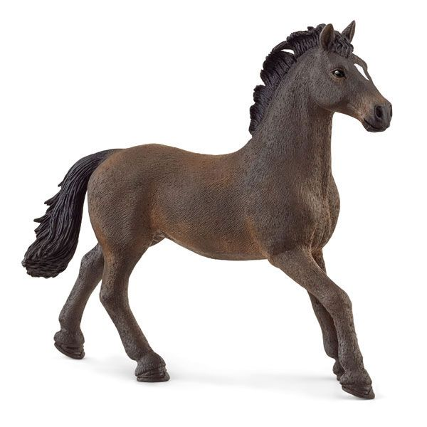 Oldenburg Stallion version 1