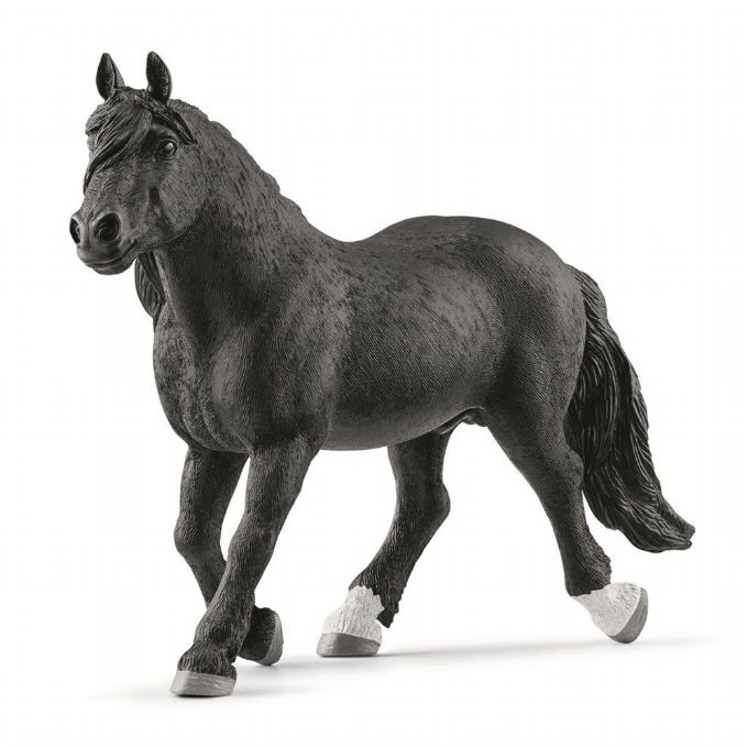 Noriker stallion version 1