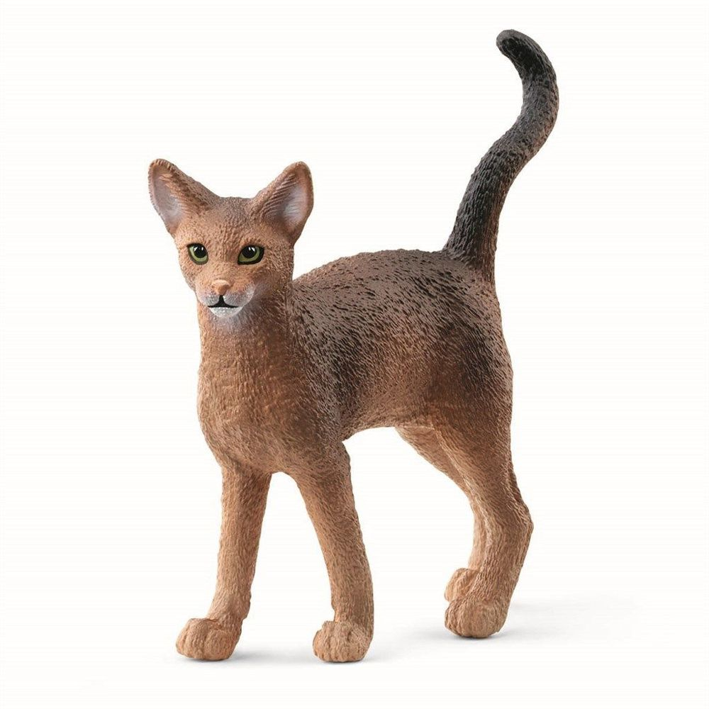 Abyssinierkat