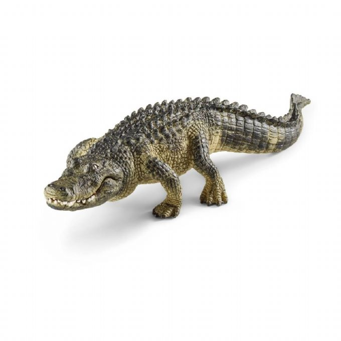 Alligator version 2