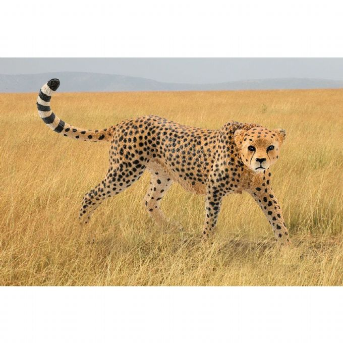 Cheetah female version 2
