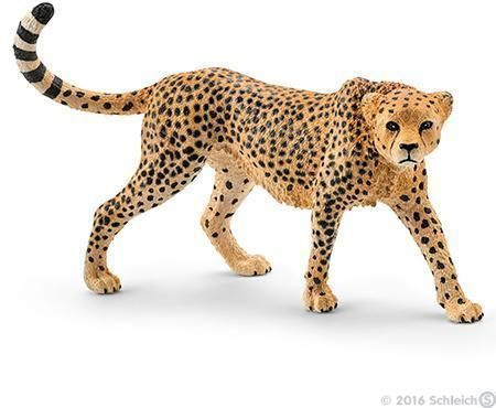 Cheetah female version 1