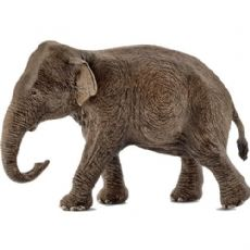 Asiatisk elefanthona