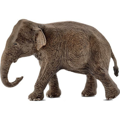 Asiatisk elefant, hunn version 1