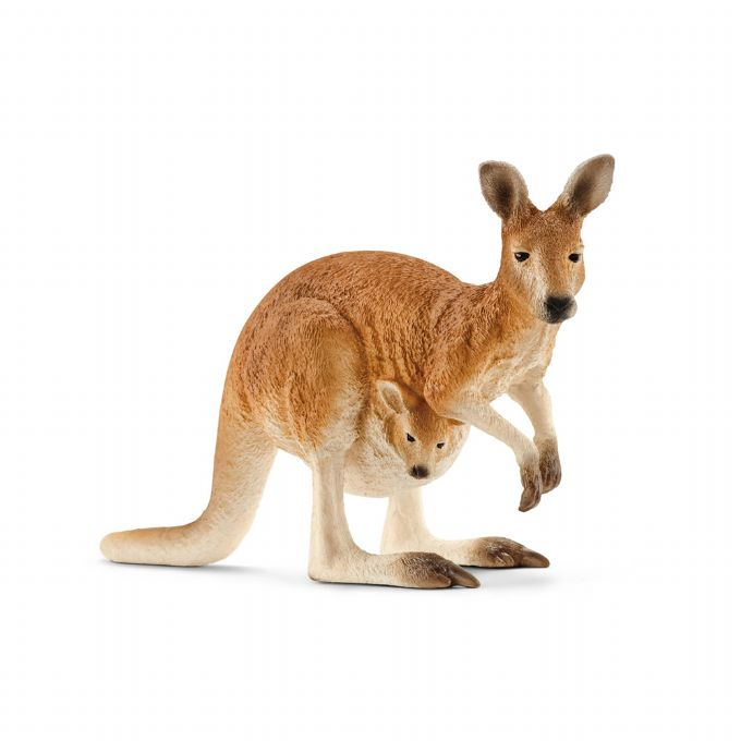 Kangaroo version 1