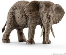 Afrikansk elefantku