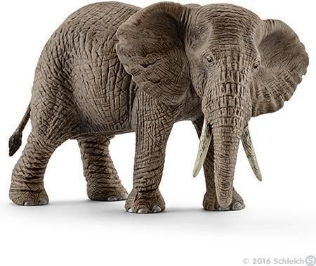 Afrikansk elefantku version 1