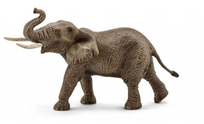 Afrika elefant han version 1
