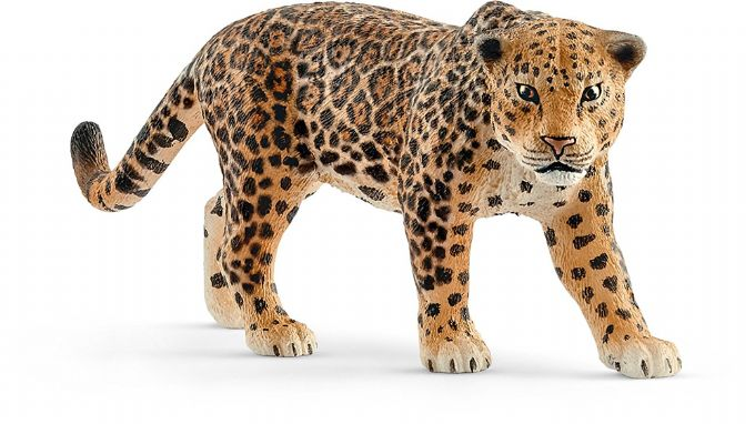 Jaguar version 1