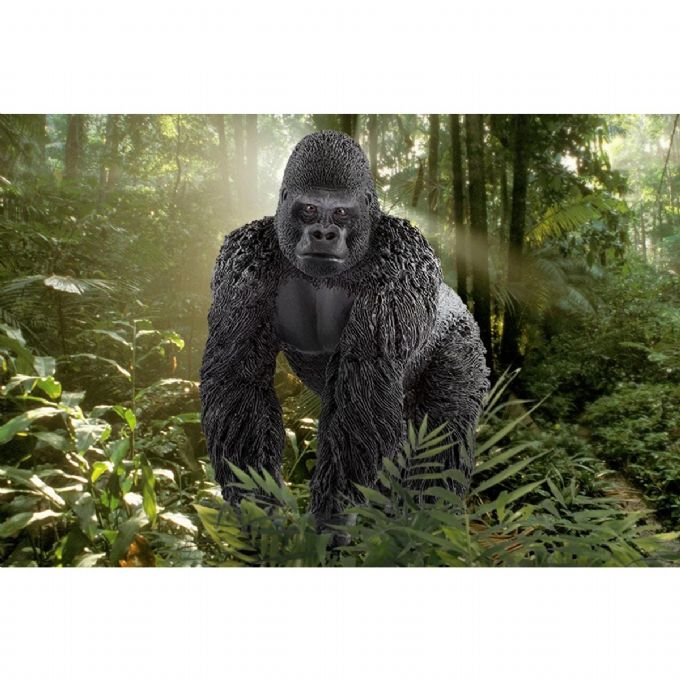 Male gorilla version 2