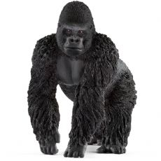 Gorilla Mnnchen