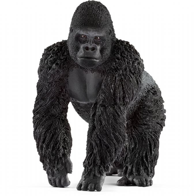 Gorilla-han version 1