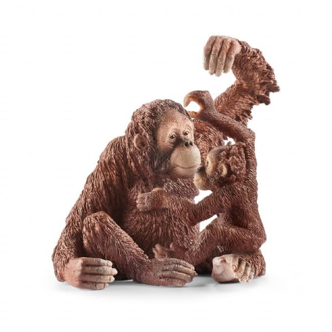 Orangutang, hunn version 3