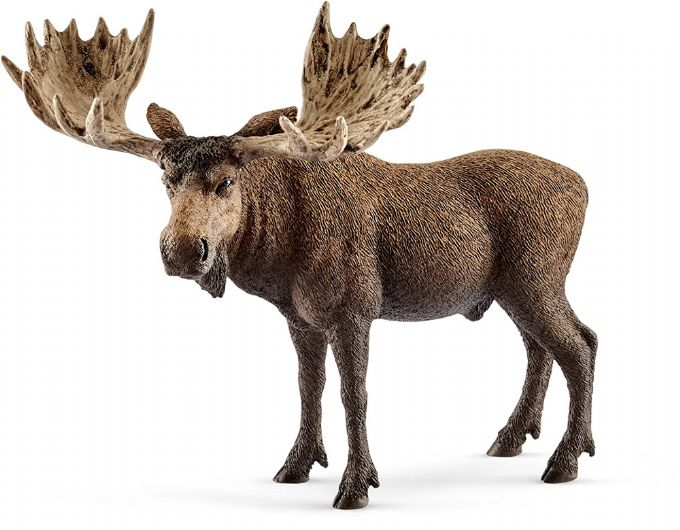 Moose bull version 1