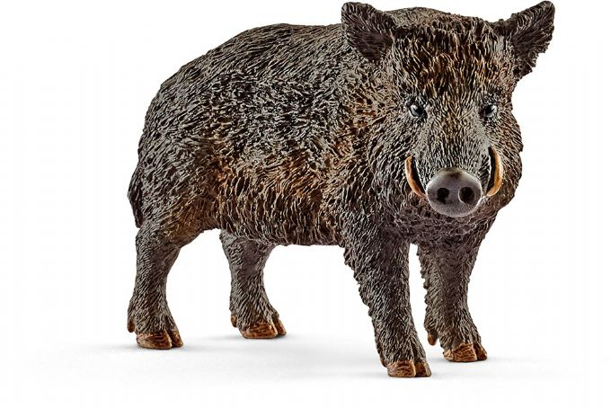 Wild boar version 1