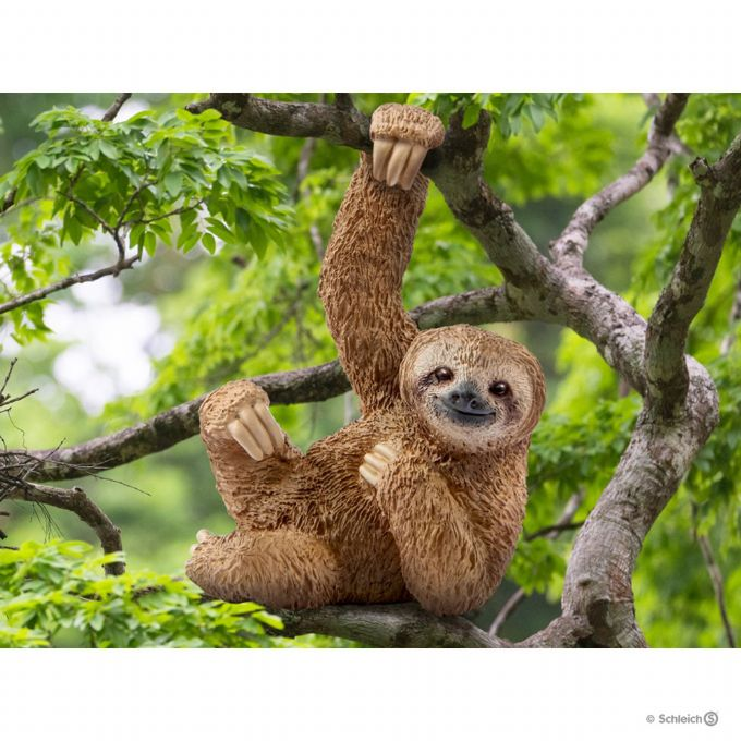 Sloth version 2
