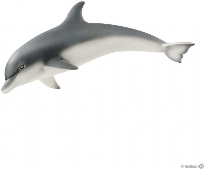 Delfiini version 1