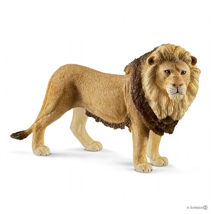 Lion version 1