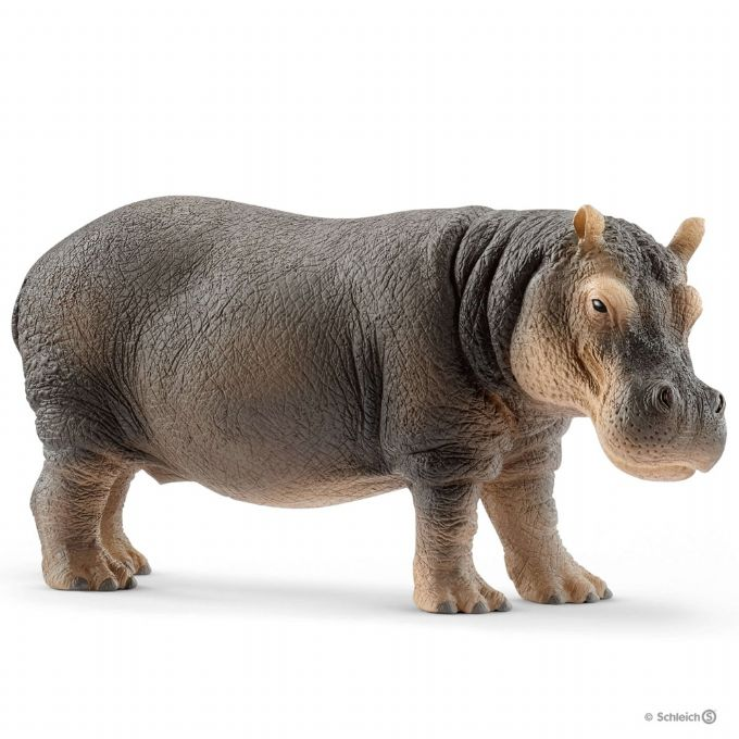 Hippopotamus version 1