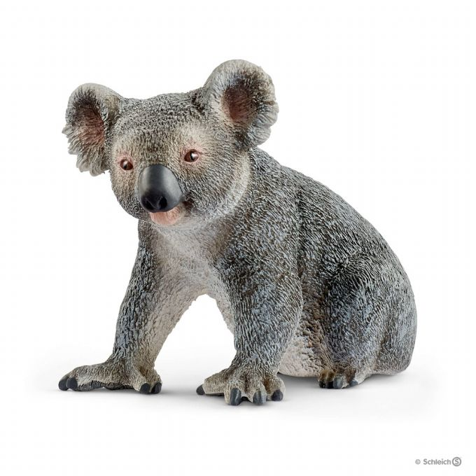 koala bear version 1