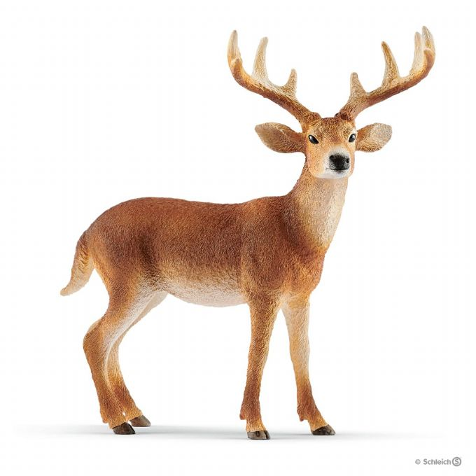 Whitetail deer version 1