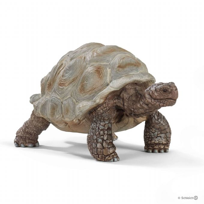 Giant tortoise version 1