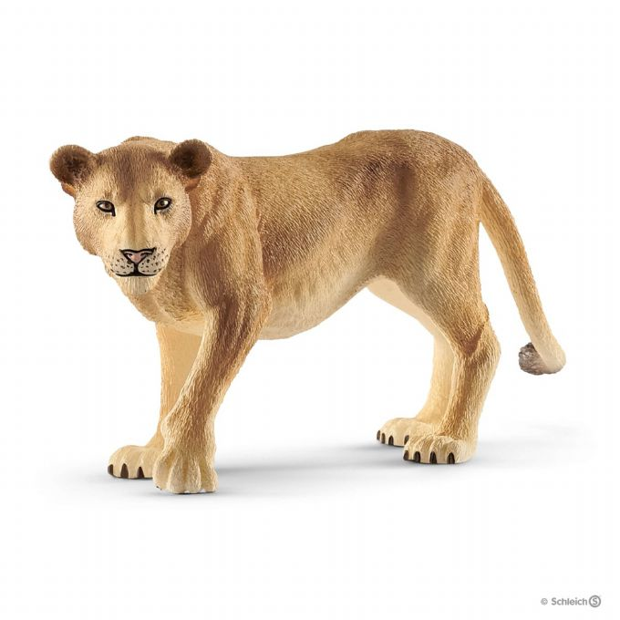 Lioness version 1