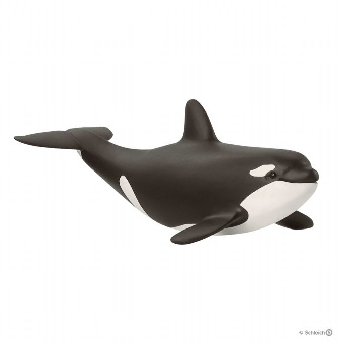 Baby killer whales version 1