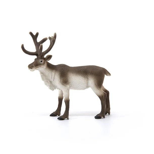 Reindeer version 2