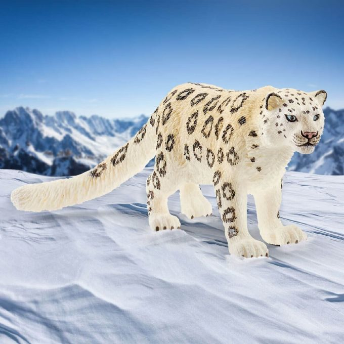 Snow leopard version 3