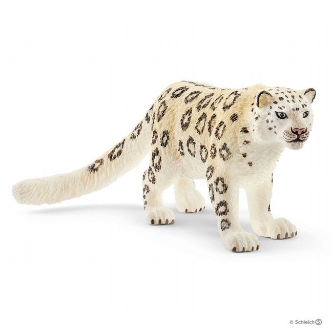 Snow leopard version 1