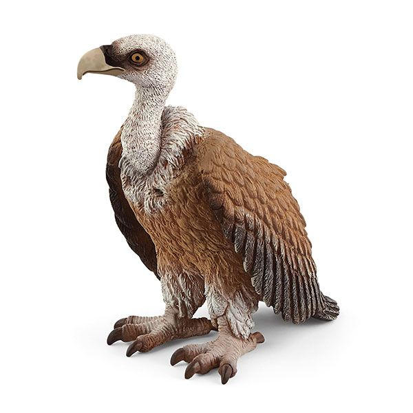 Vulture version 1
